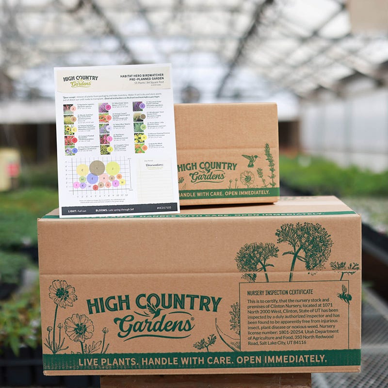 Habitat Hero Birdwatcher Pre-Planned Garden - Image 4